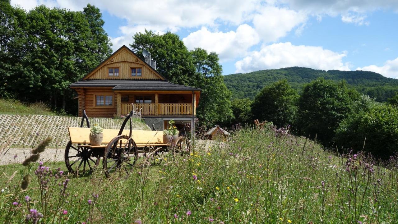 Bieszczadzkie Marzenie Wetlina Hotel Buitenkant foto